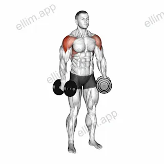 Dumbbell Alternate Lateral Raise exercise targeting Shoulders