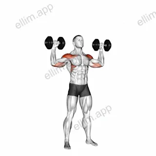 Dumbbell Alternate Shoulder Press exercise targeting Shoulders and Deltoid Anterior