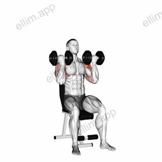 Dumbbell Arnold Press exercise targeting Shoulders and Deltoid Anterior