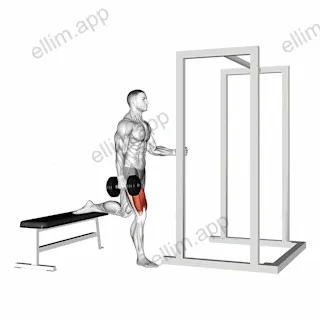 Dumbbell Assisted Bulgarian Split Squat exercise targeting Thighs