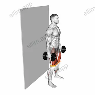 Dumbbell Banded Wall Sit exercise targeting Thighs
