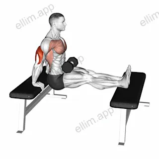 Dumbbell Bench Dip with Legs Elevated exercise targeting Upper Arms