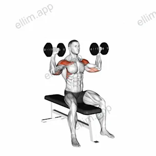 Dumbbell Bench Seated Press exercise targeting Shoulders and Deltoid Anterior