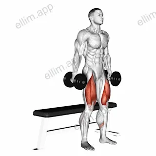 Dumbbell Bench Squat exercise targeting Thighs and Gluteus Maximus