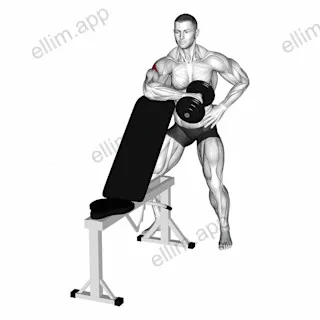 Dumbbell Bench Supported External Rotation exercise targeting Back and Teres Major