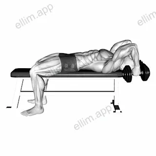 Dumbbell Bent Arm Pullover Hold exercise targeting Chest