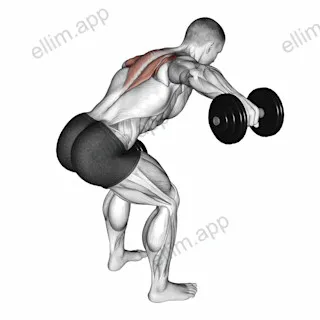 Dumbbell Bent Over Alternate Rear Delt Fly exercise targeting Shoulders and Deltoid Posterior