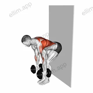 Dumbbell Bent Over Row against Wall exercise targeting Back
