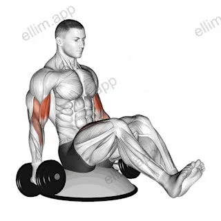 Dumbbell Biceps Curl V Sit on Bosu Ball exercise targeting Upper Arms