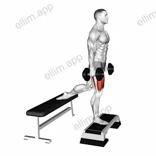 Dumbbell Bulgarian Split Squat from Deficit exercise targeting Thighs