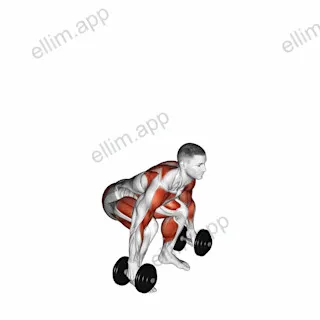 Dumbbell Clean exercise targeting Thighs and Deltoid Anterior