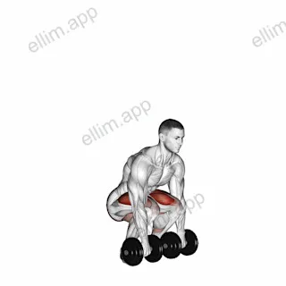 Dumbbell Deadlift exercise targeting Back and Gluteus Maximus