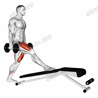 Dumbbell Decline Bench Lunge exercise targeting Thighs