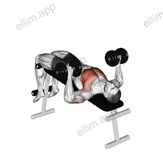 Dumbbell Decline Bench Press exercise targeting Chest and Pectoralis Major Sternal Head