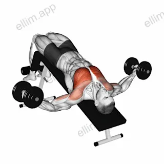 Dumbbell Decline Fly exercise targeting Chest and Pectoralis Major Sternal Head