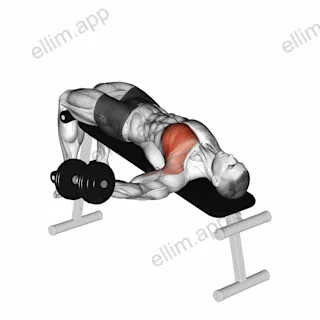 Dumbbell Decline One Arm Fly exercise targeting Chest and Pectoralis Major Sternal Head