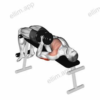 Dumbbell Decline One Arm Hammer Press exercise targeting Upper Arms
