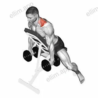 Dumbbell Decline Shrug exercise targeting Back and Trapezius Upper Fibers