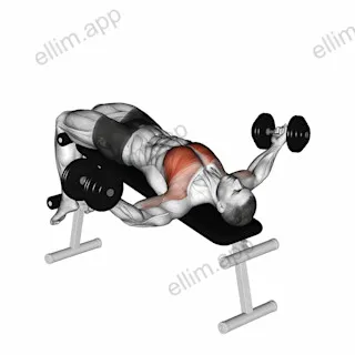 Dumbbell Decline Twist Fly exercise targeting Chest and Pectoralis Major Sternal Head