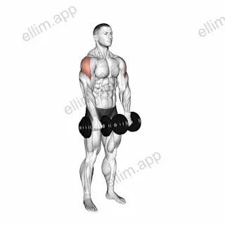 Dumbbell Empty Can Exercise exercise targeting Shoulders