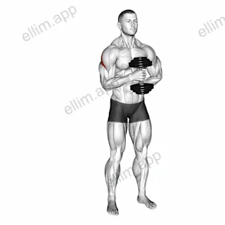 Dumbbell External Rotation exercise targeting Back and Teres Major