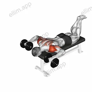 Dumbbell Face Down Lying Shoulder Press exercise targeting Shoulders
