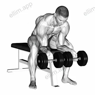 Dumbbell finger curls exercise targeting Forearms