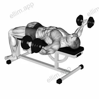 Dumbbell Flat Flye Hold exercise targeting Chest