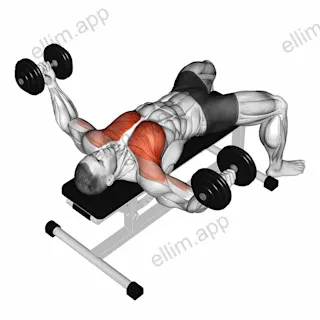 Dumbbell Fly exercise targeting Chest and Pectoralis Major Clavicular Head