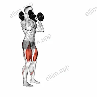 Dumbbell Front Rack Lunge exercise targeting Thighs and Gluteus Maximus