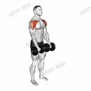 Dumbbell Front Raise exercise targeting Shoulders and Deltoid Anterior