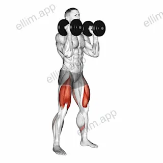 Dumbbell Front Squat exercise targeting Gluteus Maximus and Quadriceps