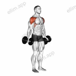 Dumbbell Full Can Lateral Raise exercise targeting Shoulders and Deltoid Anterior
