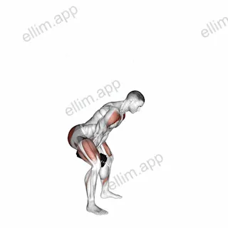 Dumbbell Full Swing exercise targeting Hips and Deltoid Anterior