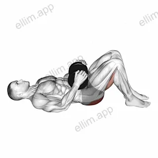 Dumbbell Glute Bridge exercise targeting Hips and Gluteus Maximus