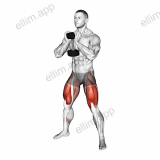 Dumbbell Goblet Sumo Squat exercise targeting Thighs