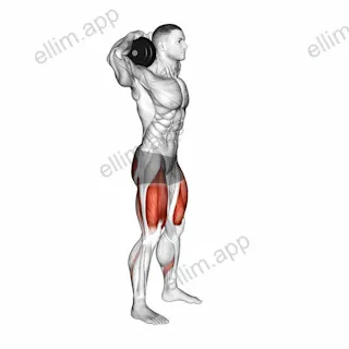 Dumbbell Good Morning Squat exercise targeting Erector Spinae and Gluteus Maximus