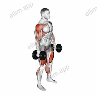 Dumbbell Hang Power Clean exercise targeting Weightlifting and Adductor Magnus