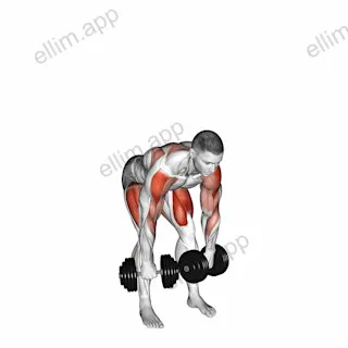 Dumbbell High Pull exercise targeting Weightlifting