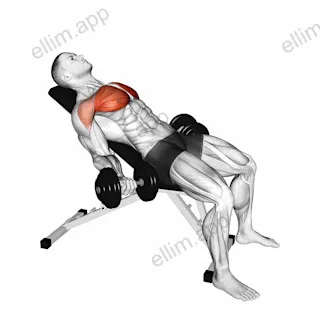 Dumbbell Incline Low Fly exercise targeting Chest