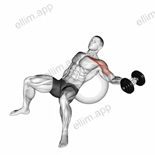 Dumbbell Incline One Arm Fly on Exercise Ball exercise targeting Chest and Pectoralis Major Clavicular Head