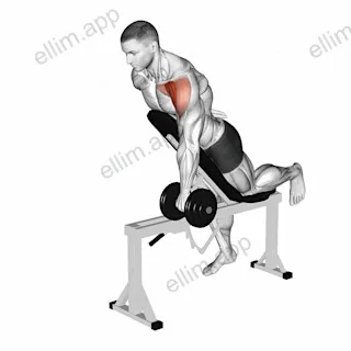 Dumbbell Incline One Arm Front Raise with Chest Support exercise targeting Shoulders