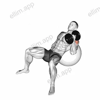 Dumbbell Incline One Arm Hammer Press on Exercise Ball exercise targeting Upper Arms