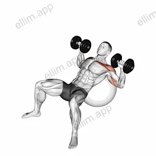 Dumbbell Incline Press on Exercise Ball exercise targeting Chest and Pectoralis Major Clavicular Head
