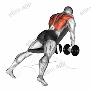 Dumbbell Incline Row exercise targeting Back and Infraspinatus