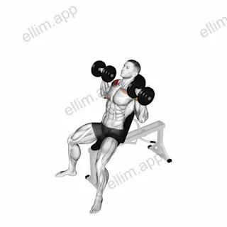 Dumbbell Incline Shoulders Press exercise targeting Shoulders
