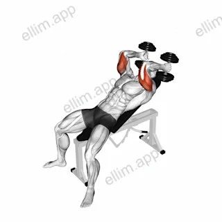Dumbbell Incline Triceps Extension exercise targeting Upper Arms and Triceps Brachii