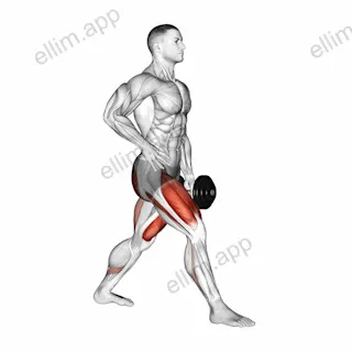 Dumbbell Ipsilateral Split Squat exercise targeting Thighs