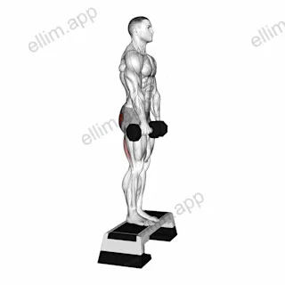 Dumbbell Jefferson Curl exercise targeting Hips