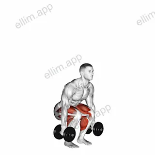 Dumbbell Jumping Squat exercise targeting Plyometrics